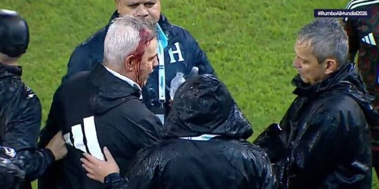 Javier Aguirre, herido por asistente al partido